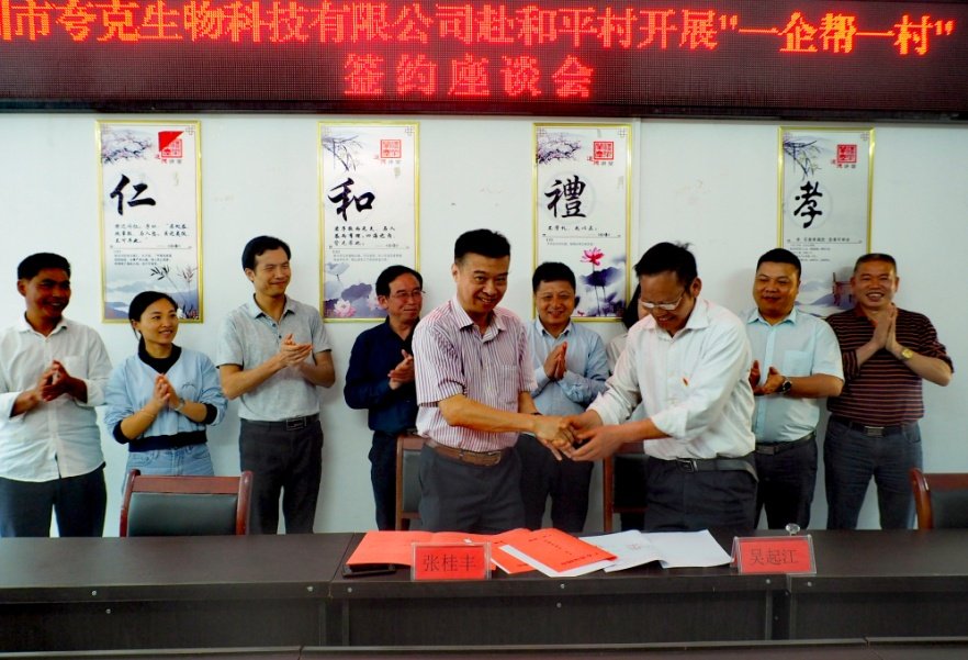 行业动态